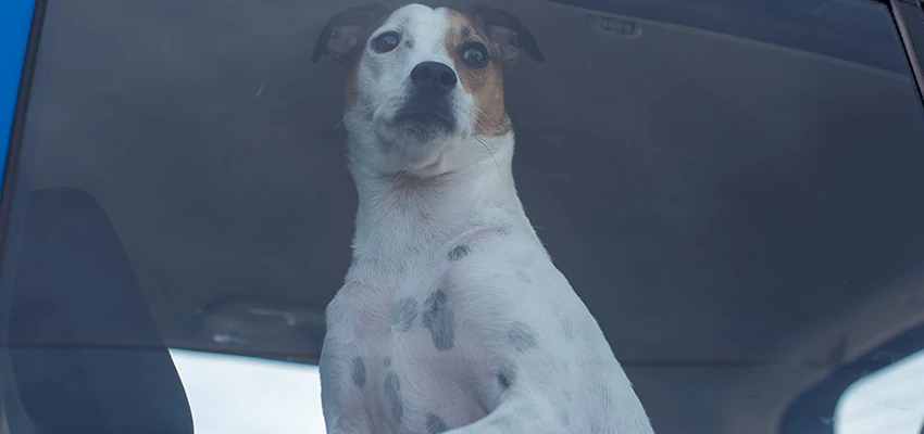 Car Lockout Solutions in Hermosa Beach, California